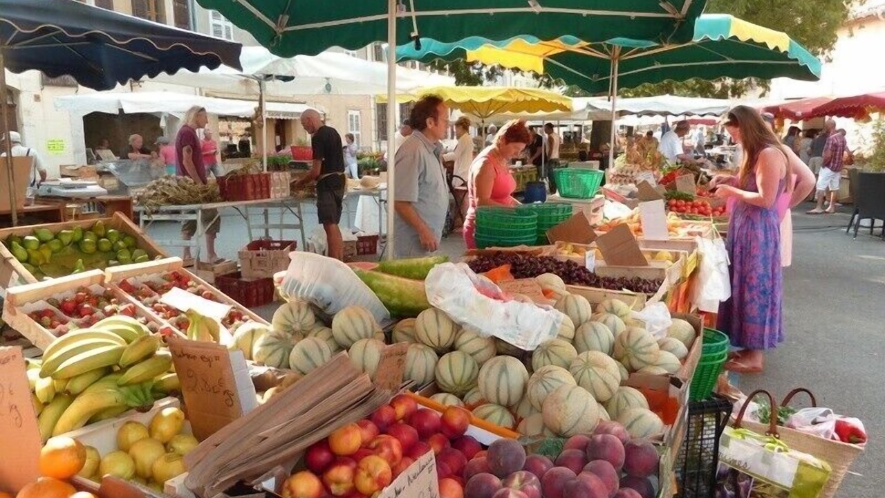 Photo of Others in Saint-Cezaire-sur-Siagne
