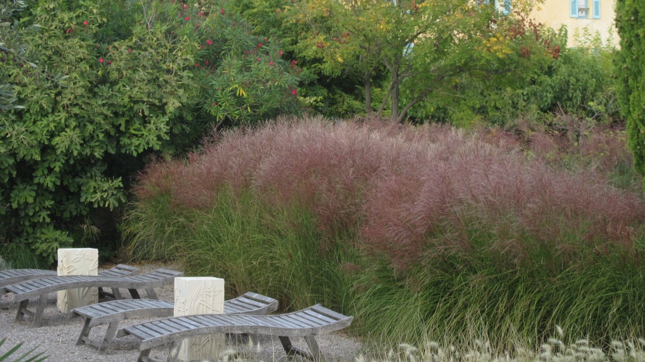 Photo of Outdoor in Lorgues