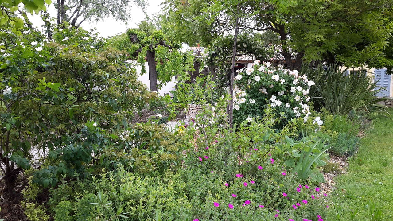 Photo of Outdoor in Lorgues