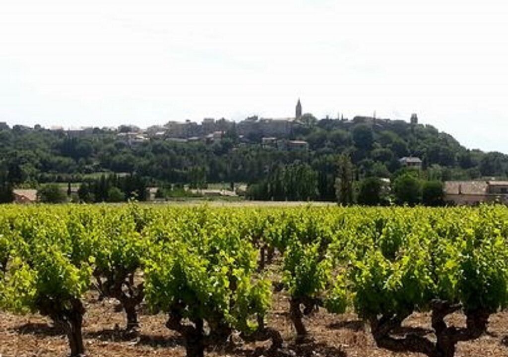 Photo of Others in Castillon-du-Gard