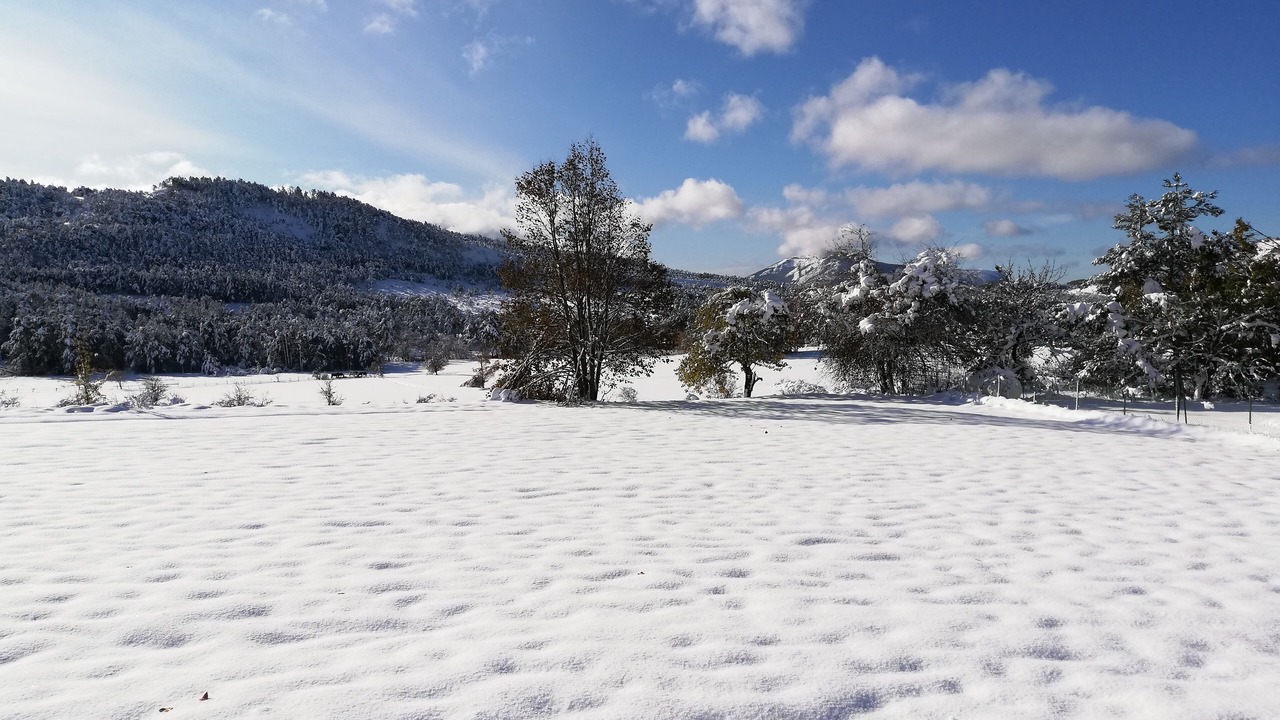 Photo of Others in La Foux