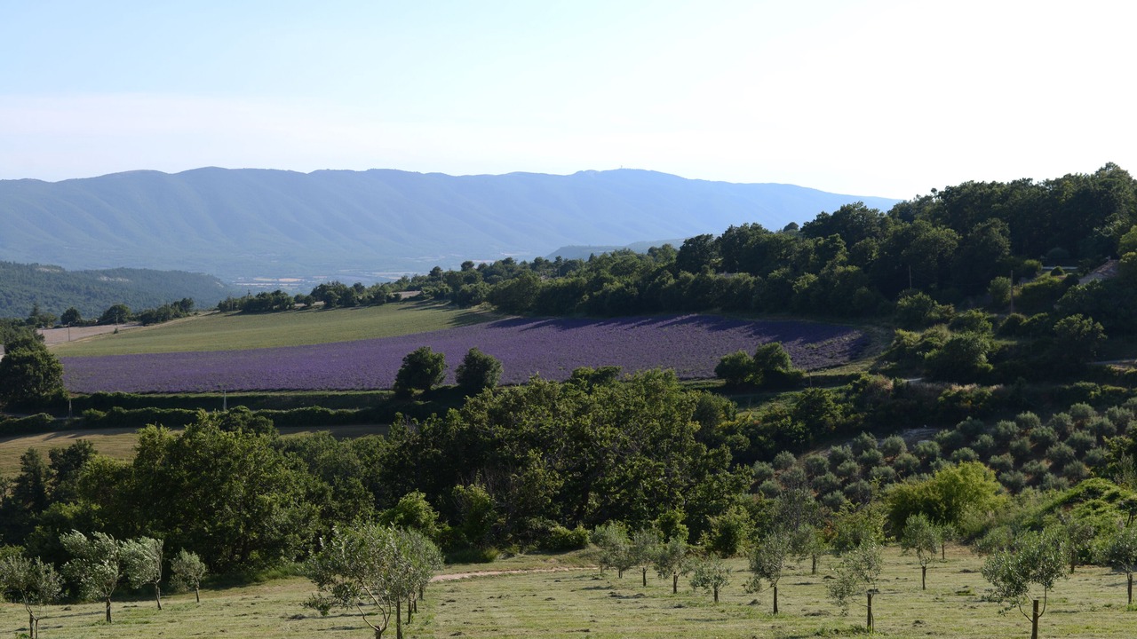 Photo of Outdoor in Saint-Martin-de-Castillon