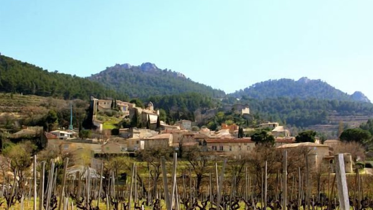 Photo of Others in Gigondas
