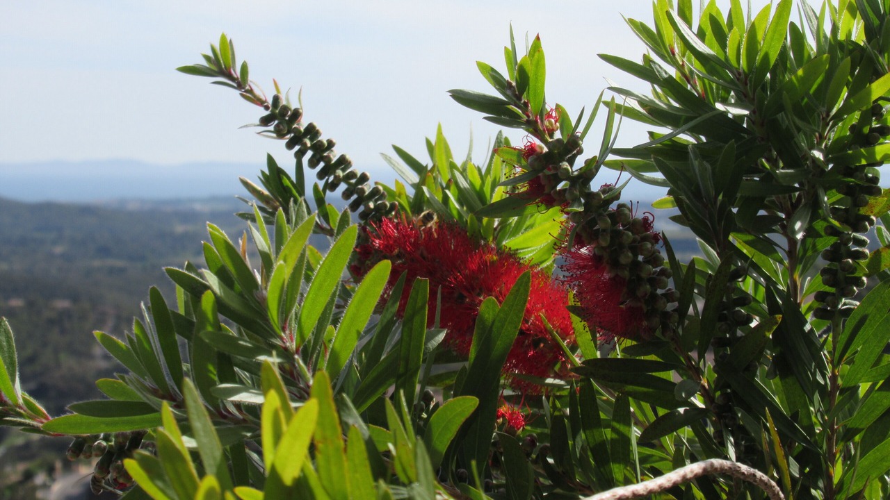 Photo of Outdoor in La Londe-les-Maures