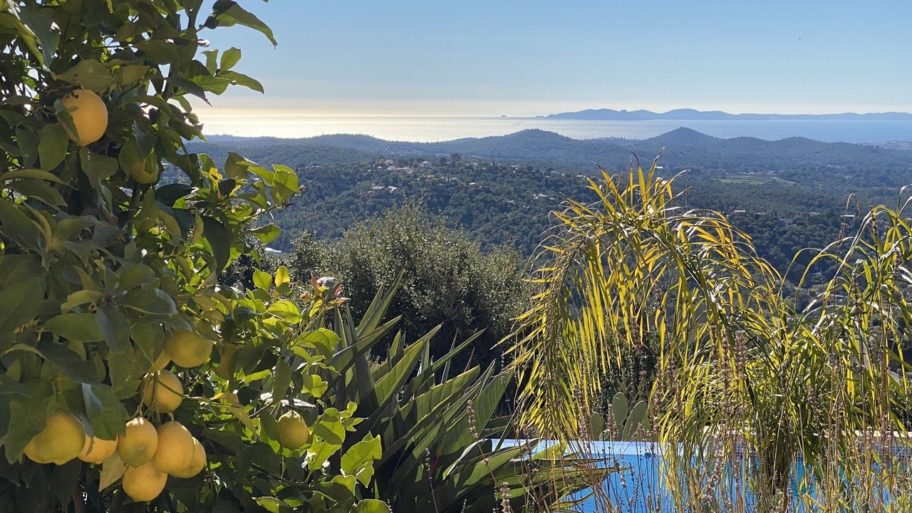 Photo of Outdoor in La Londe-les-Maures