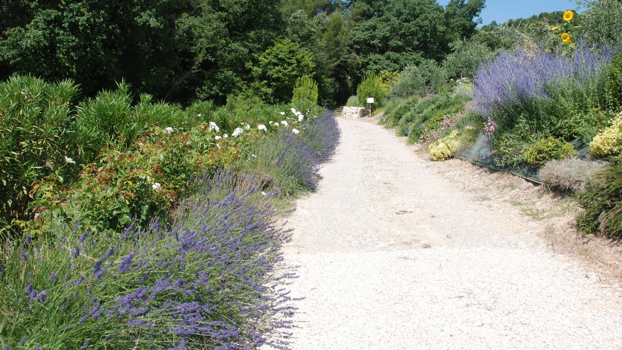 Photo of Outdoor in Vinsobres