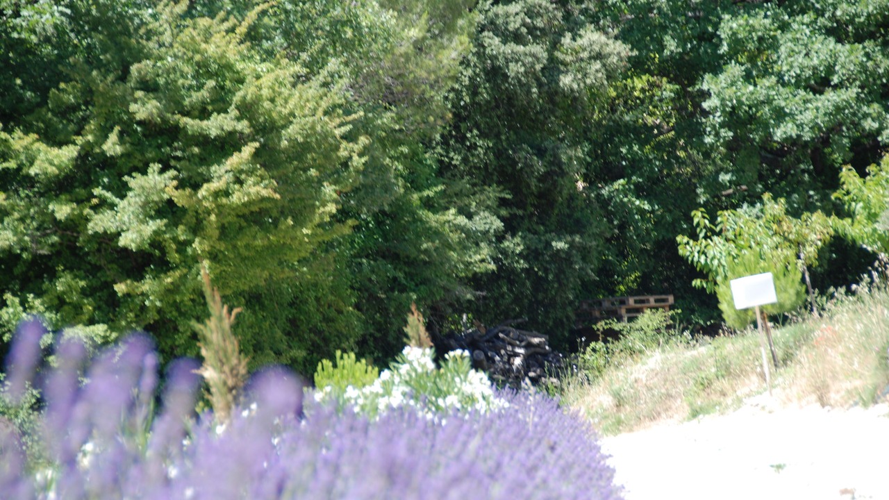 Photo of Outdoor in Vinsobres