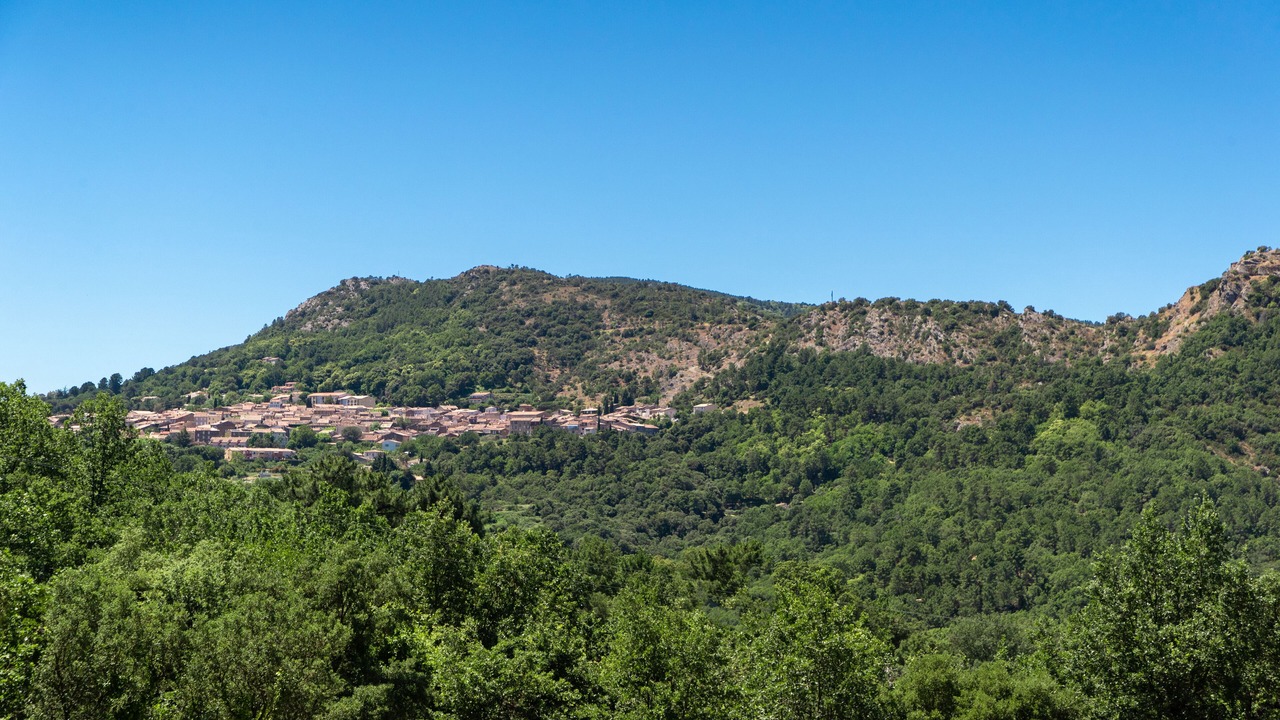 Photo of Others in La Garde-Freinet