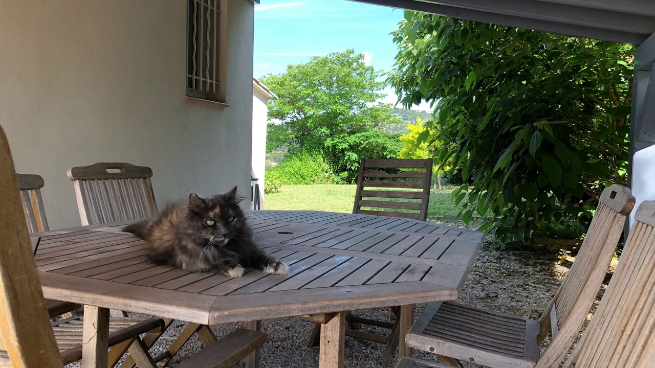 Photo of Outdoor in Ollioules