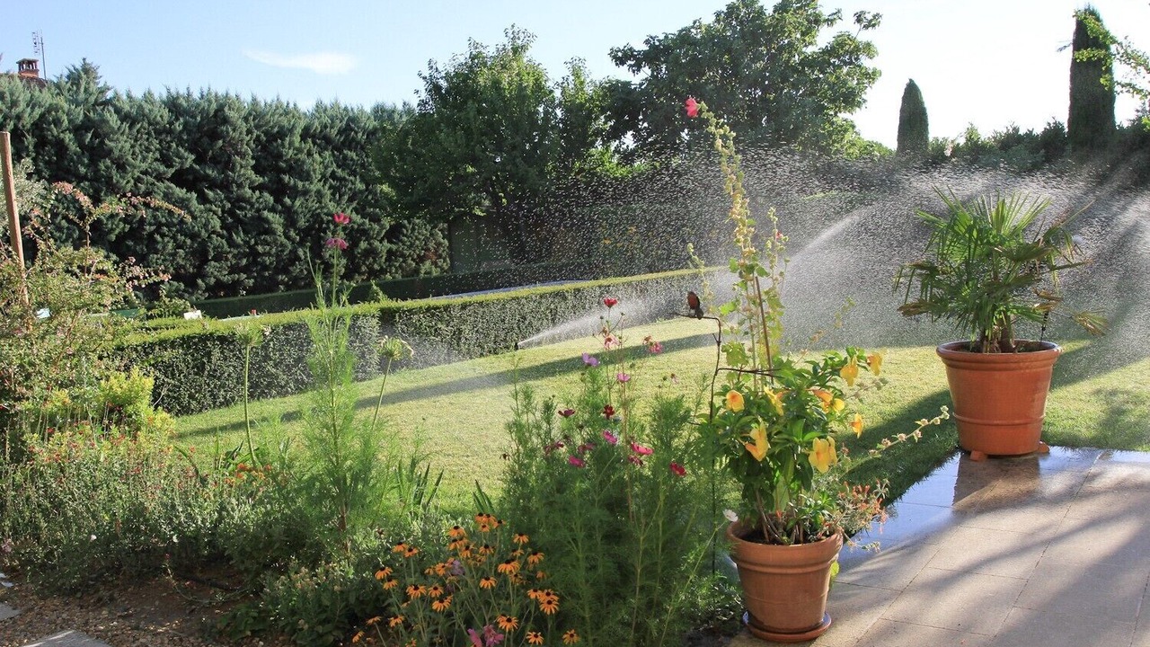 Photo of Outdoor in Orange