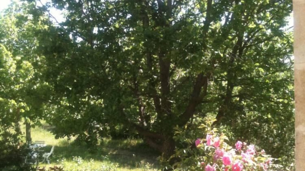 Photo of Outdoor in Bonnieux