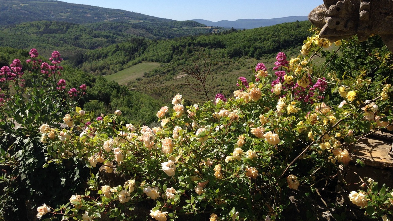 Photo of Outdoor in Pierrevert
