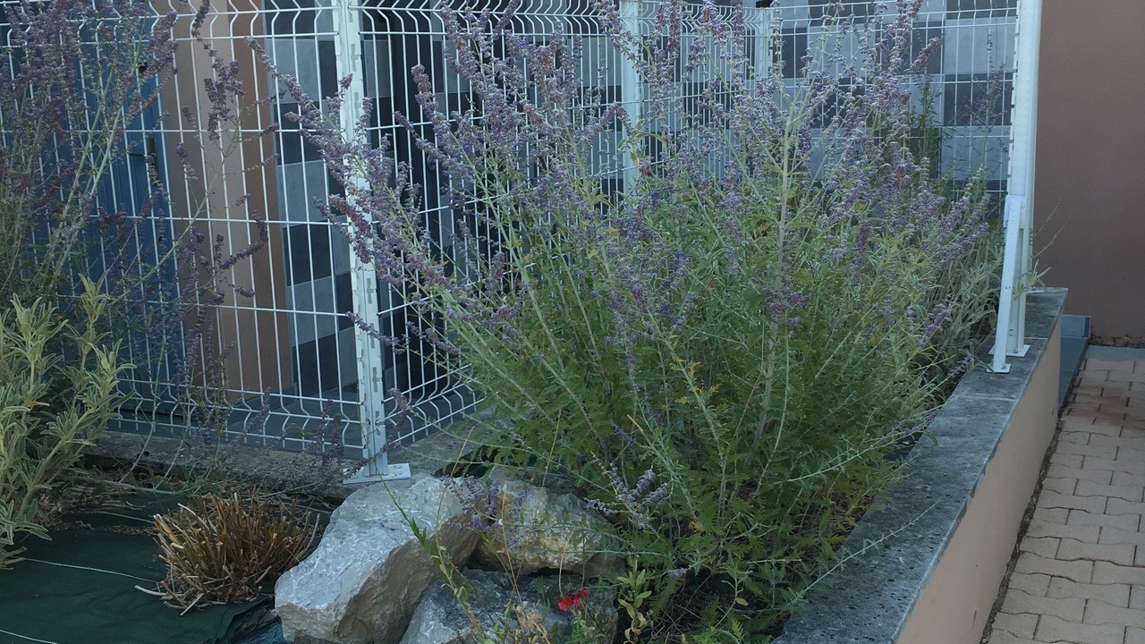 Photo of Outdoor in Pierrevert