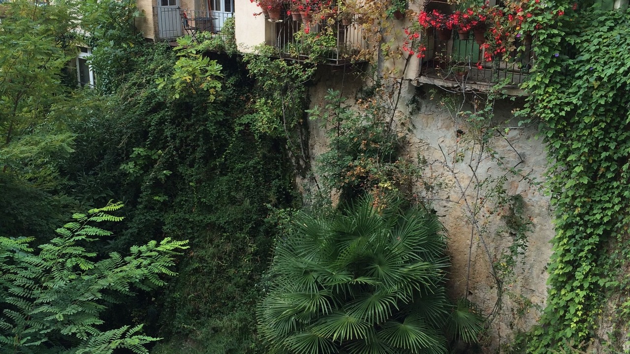 Photo of Outdoor in Pierrevert