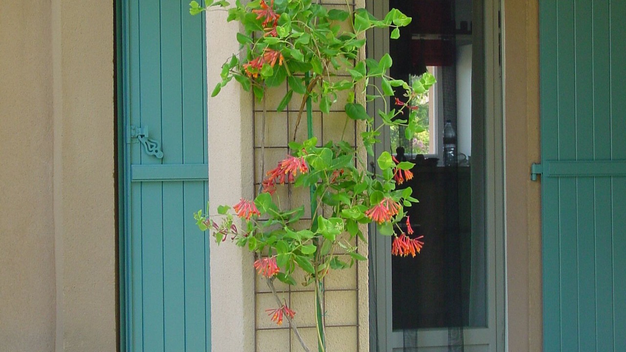 Photo of Outdoor in Pierrevert