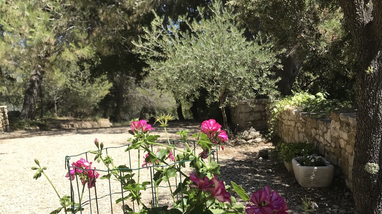 Photo of Outdoor in Pierrevert