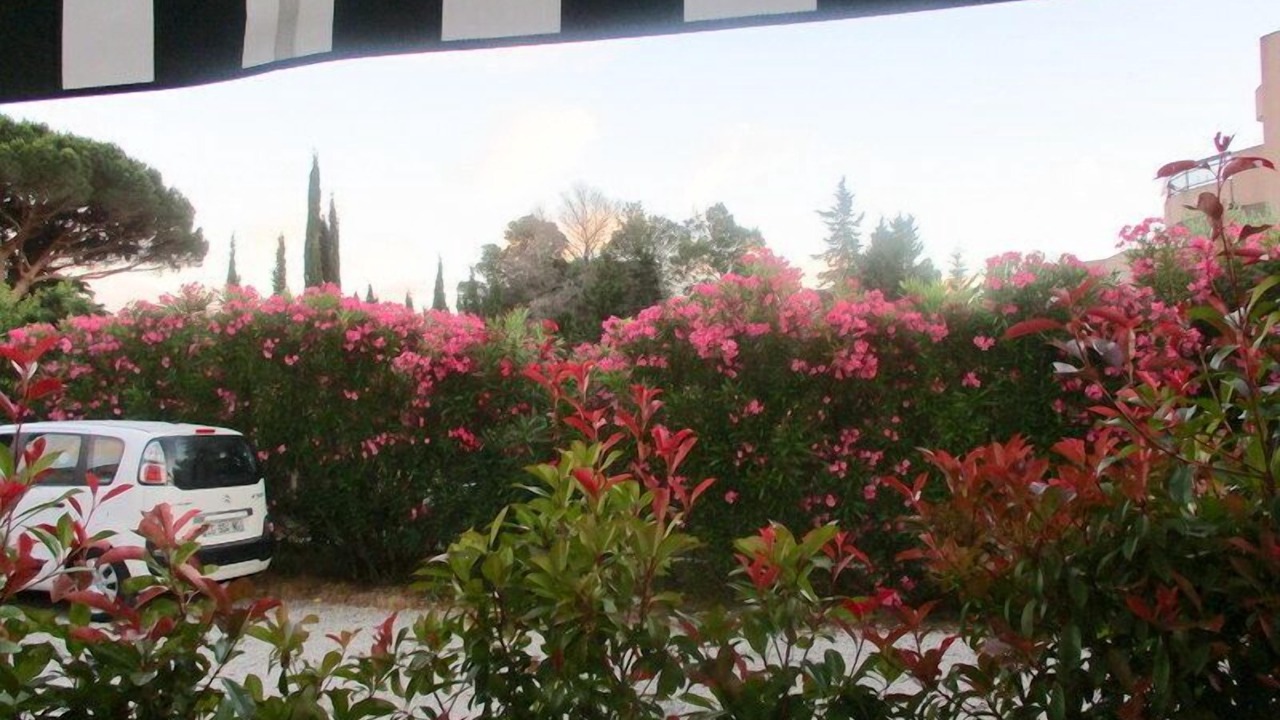 Photo of Outdoor in Cavaliere