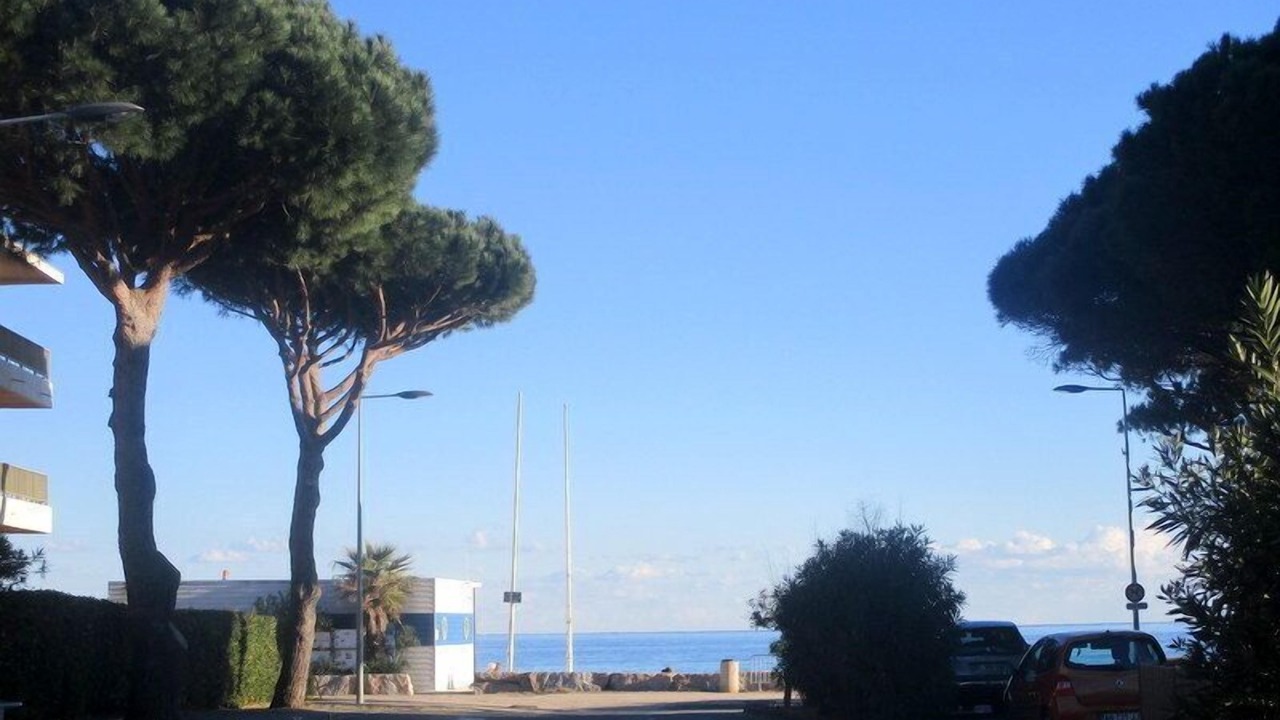 Photo of Others in Cavaliere