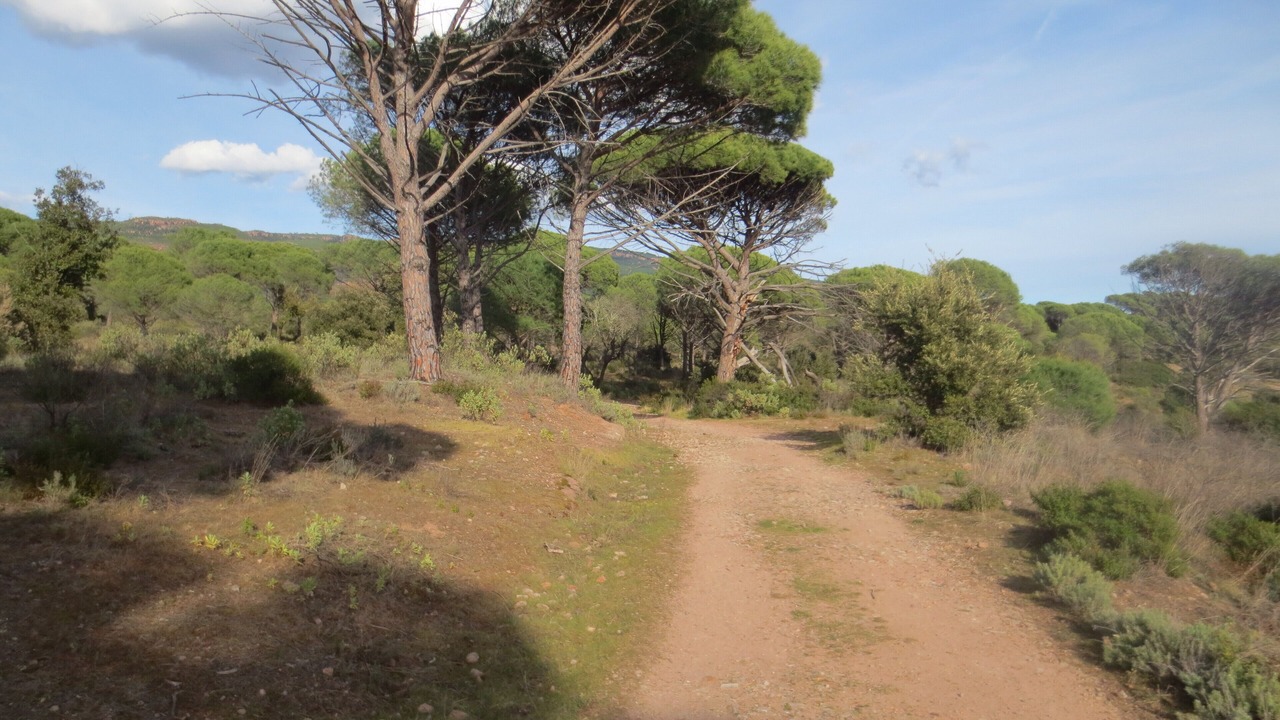 Photo of Outdoor in Figanieres
