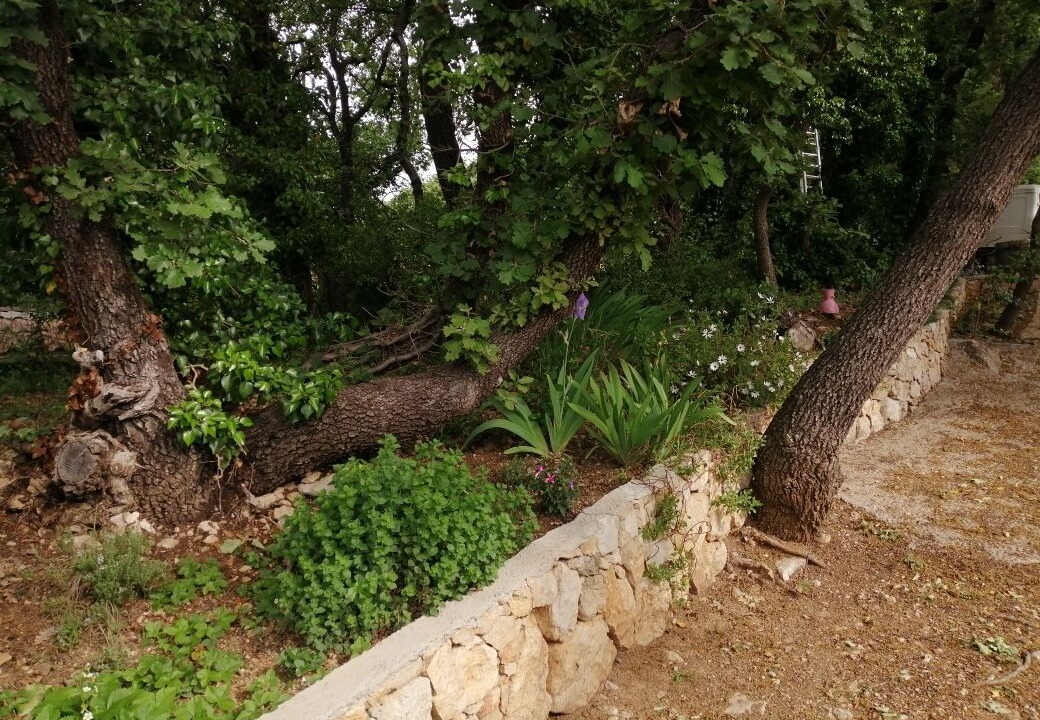 Photo of Outdoor in La Roquebrussanne
