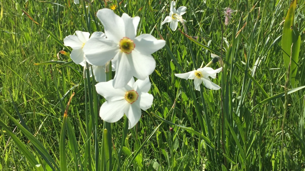 Photo of Outdoor in Brianconnet