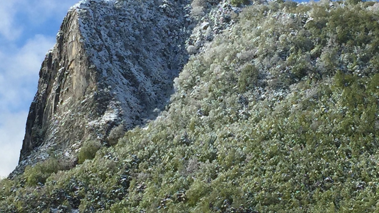 Photo of Others in Brianconnet
