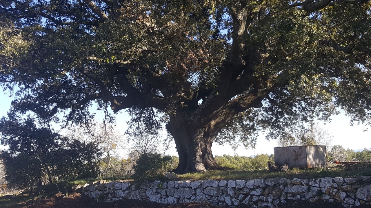 Photo of Outdoor in Cotignac