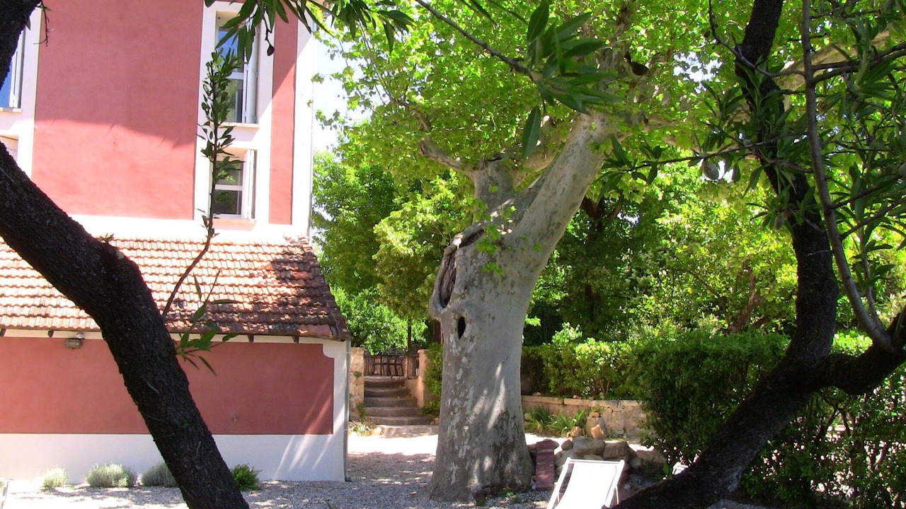 Photo of Outdoor in Orange