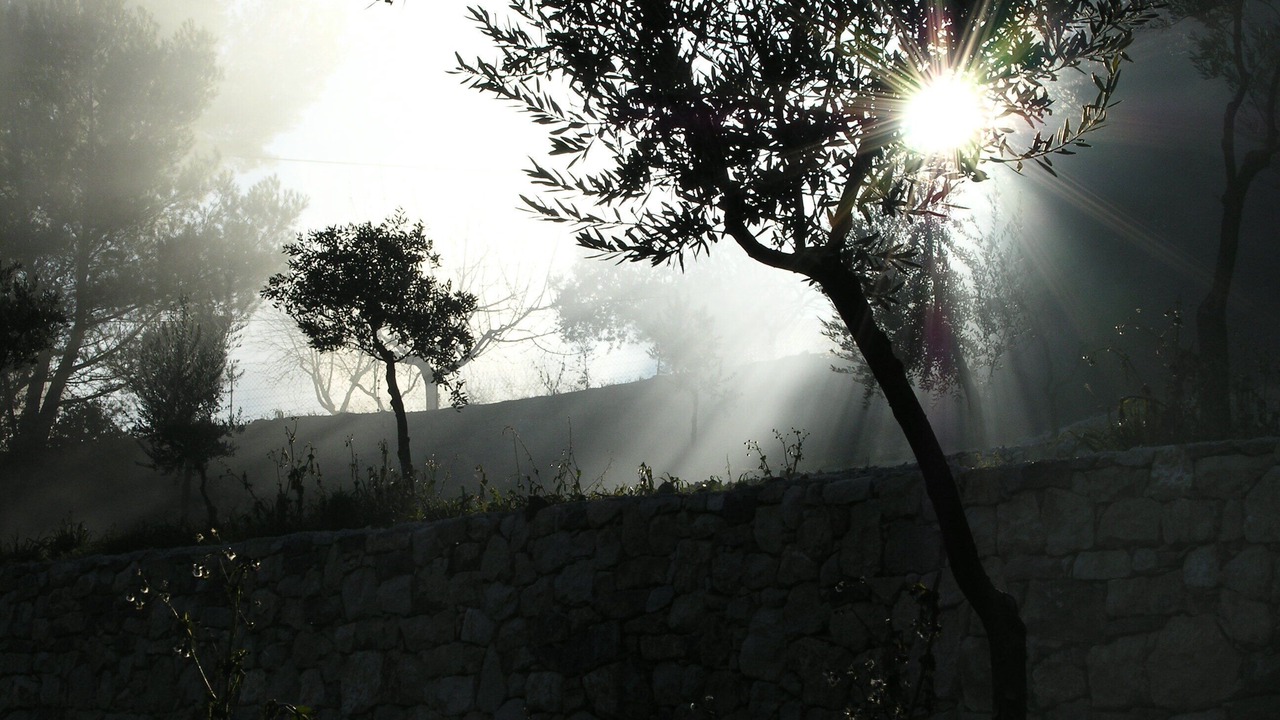 Photo of Outdoor in Saint-Paul-en-Foret