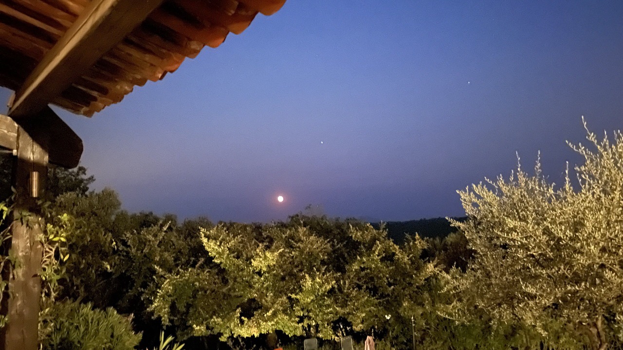 Photo of Outdoor in Saint-Paul-en-Foret