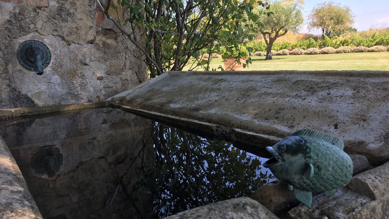 Photo of Outdoor in Cairanne