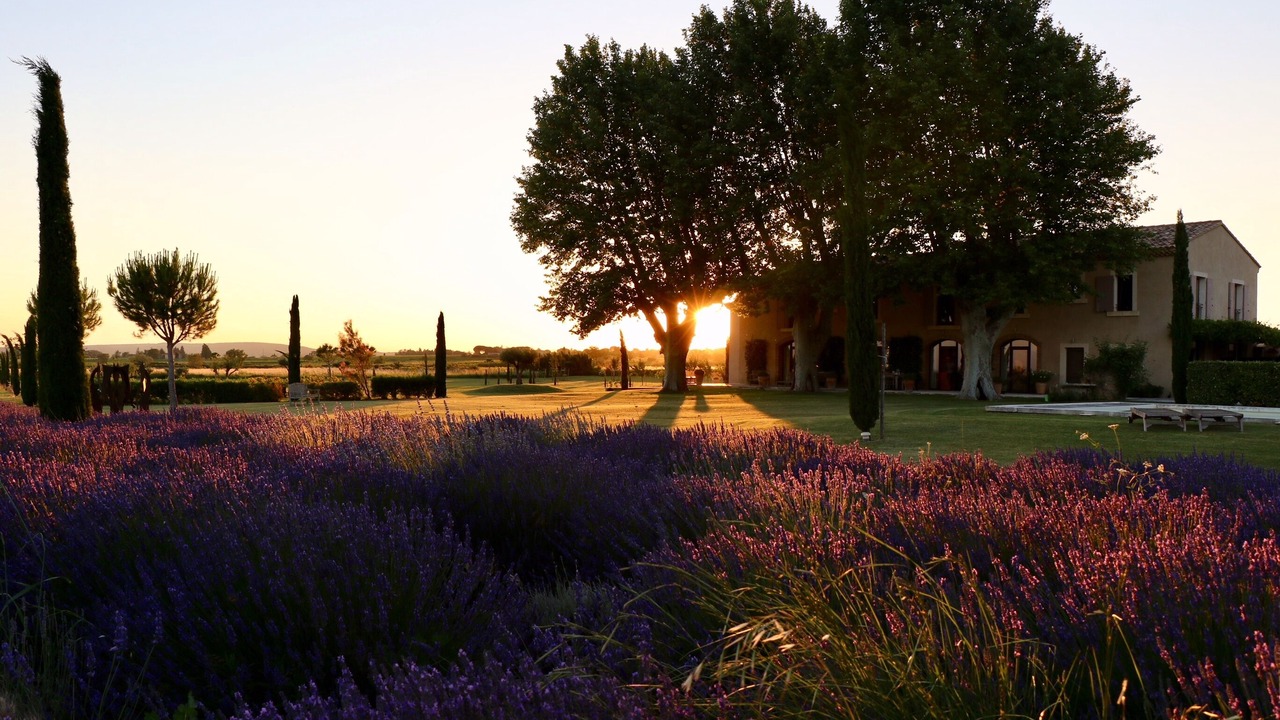 Photo of Outdoor in Cairanne