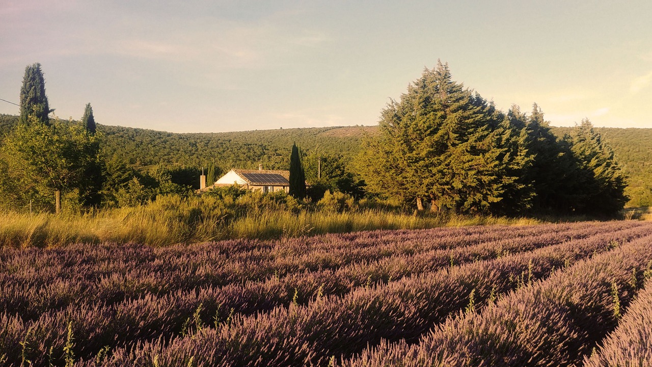 Photo of Outdoor in Simiane-la-Rotonde
