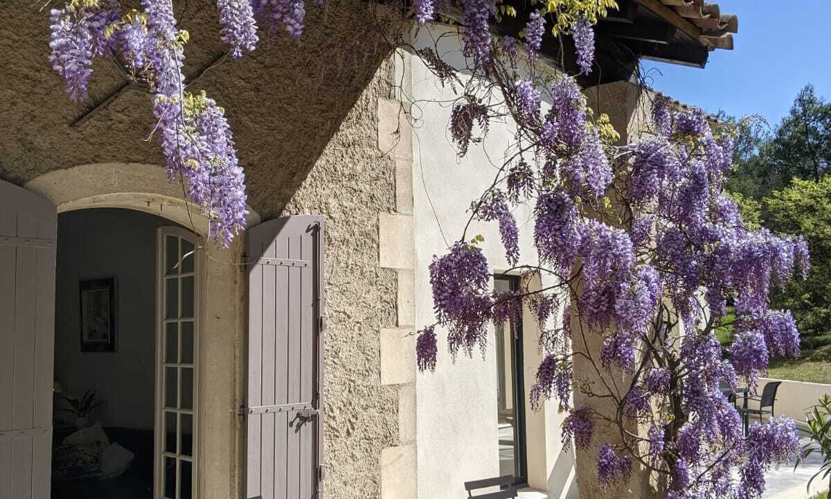 Photo of Outdoor in St.-Remy-de-Provence