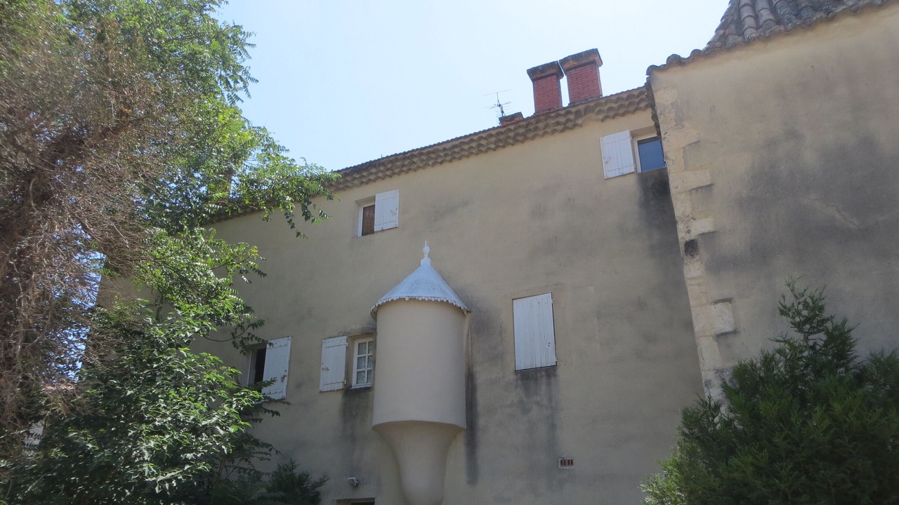 Photo of Outdoor in Orange
