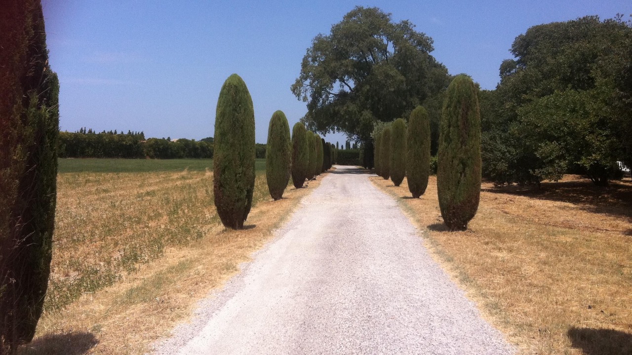 Photo of Outdoor in Orange
