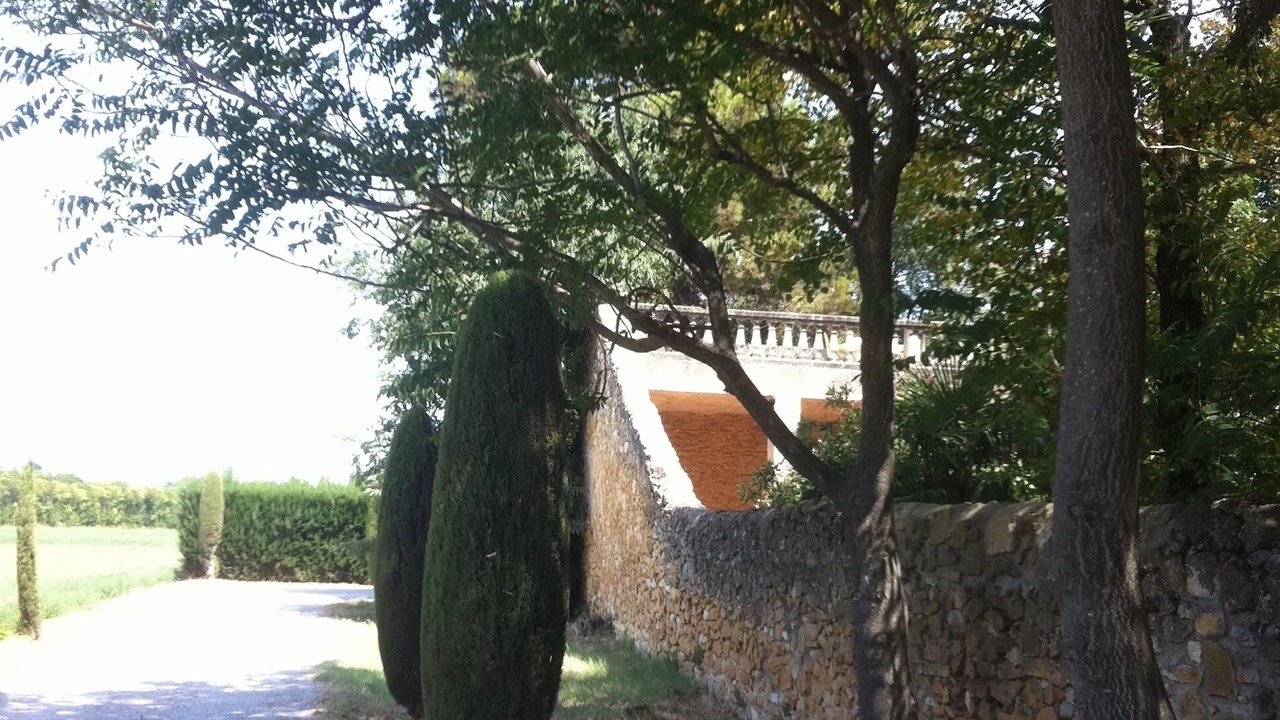 Photo of Outdoor in Orange