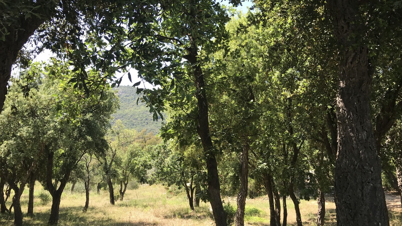 Photo of Others in Grimaud