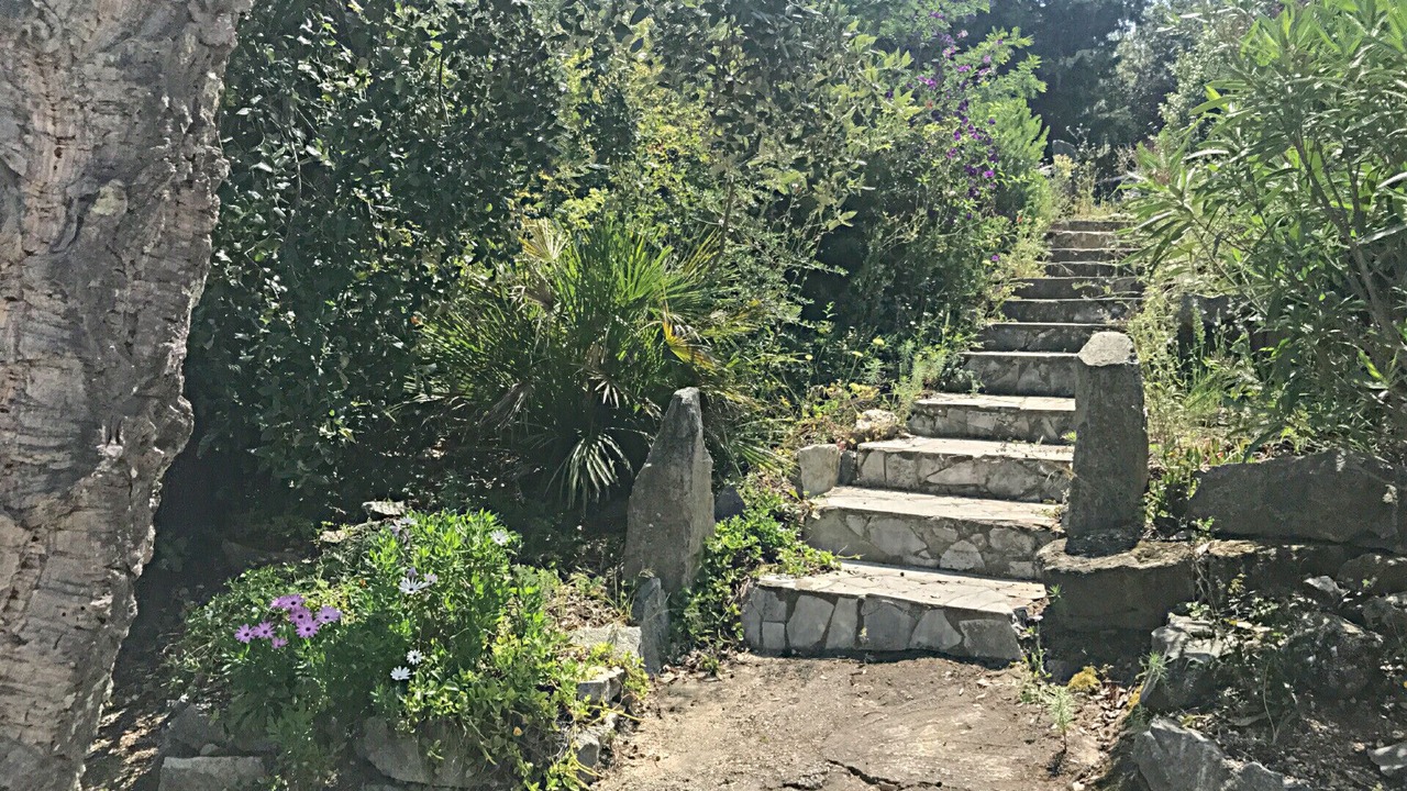 Photo of Others in Grimaud