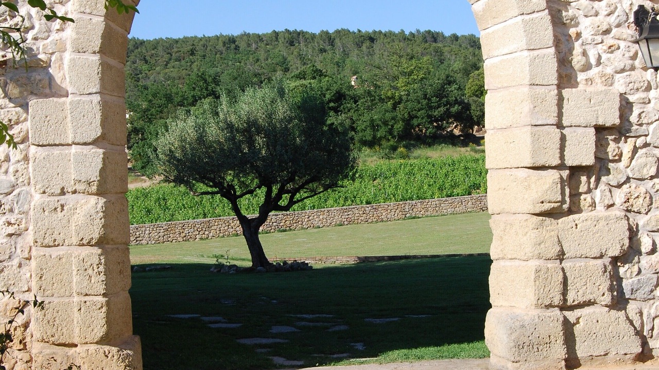Photo of Others in Lorgues