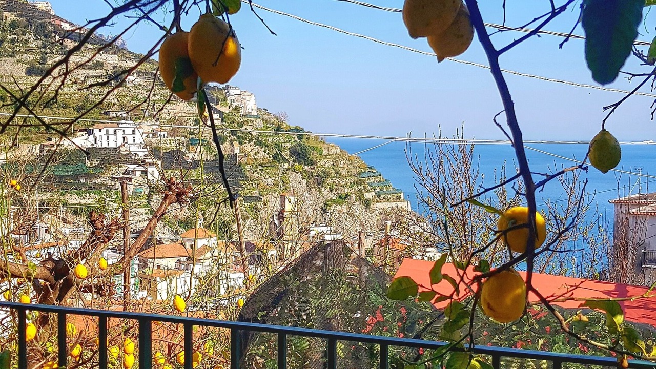 Photo of Outdoor in Minori