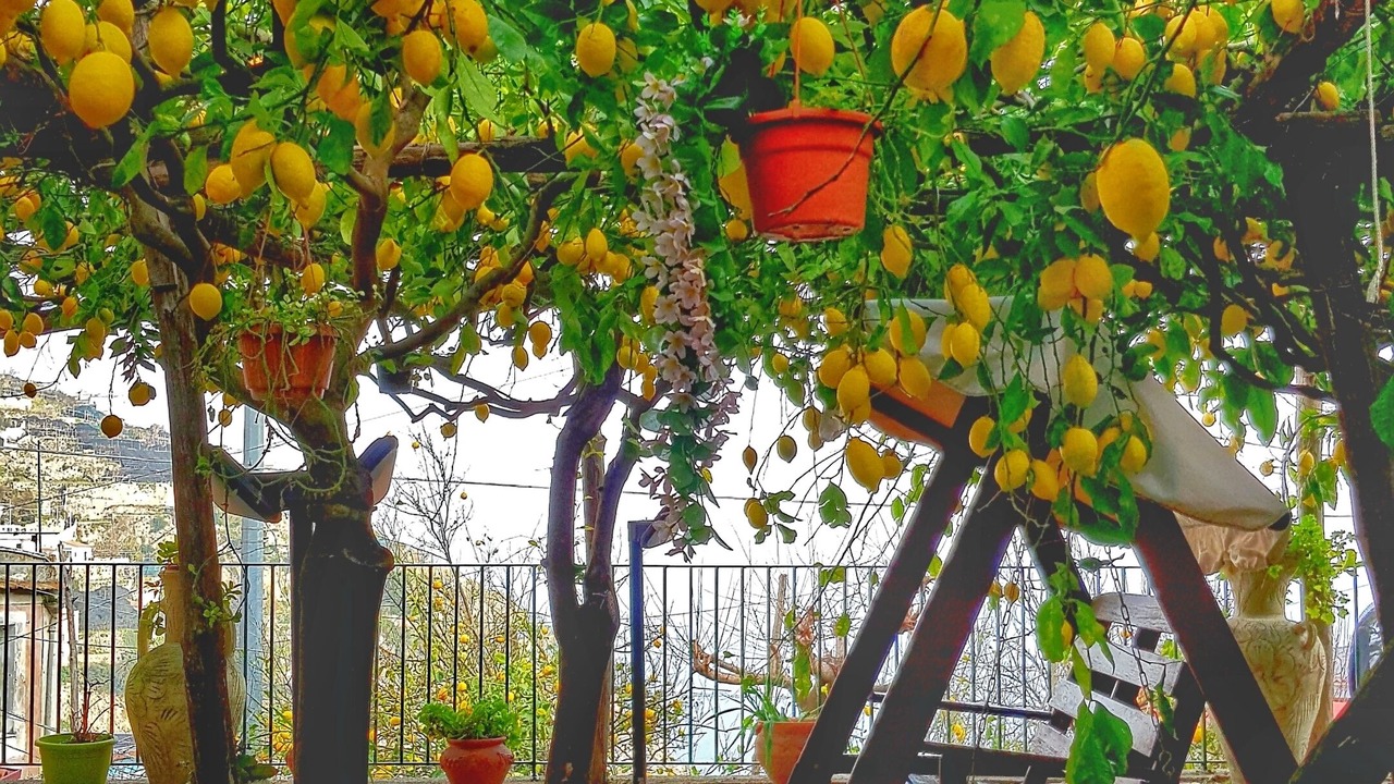 Photo of Patio Balcony in Minori