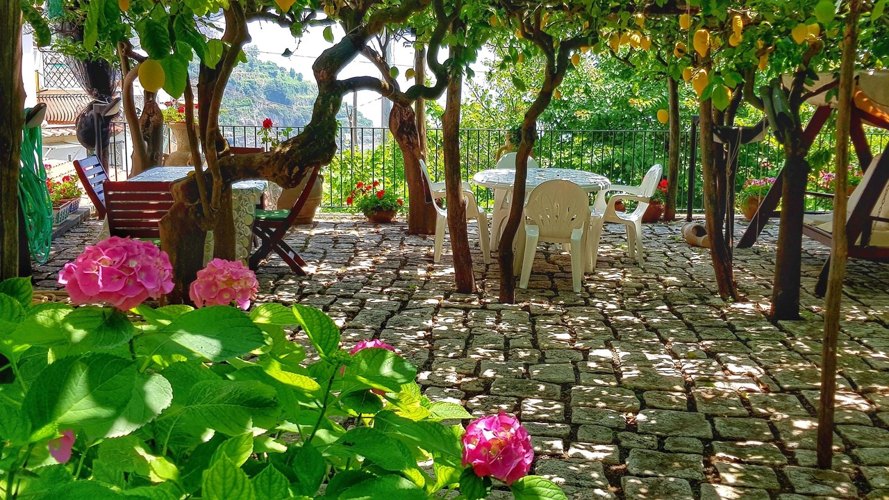Photo of Outdoor in Minori