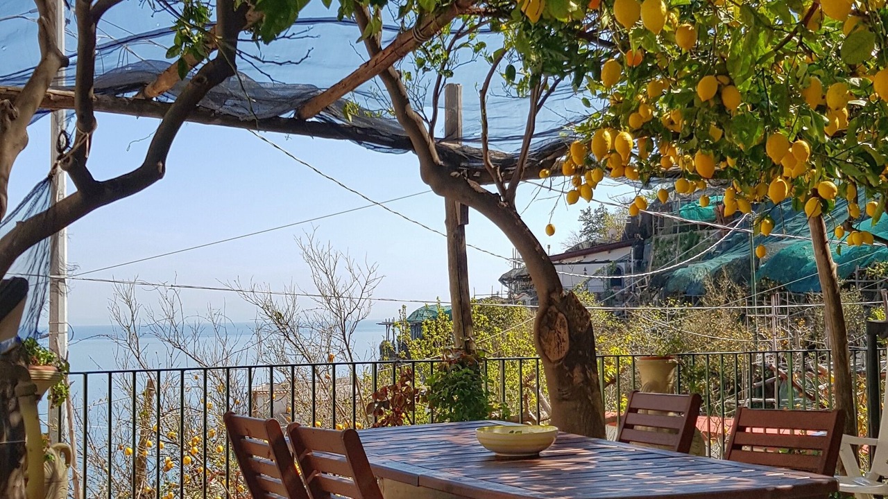Photo of Outdoor in Minori