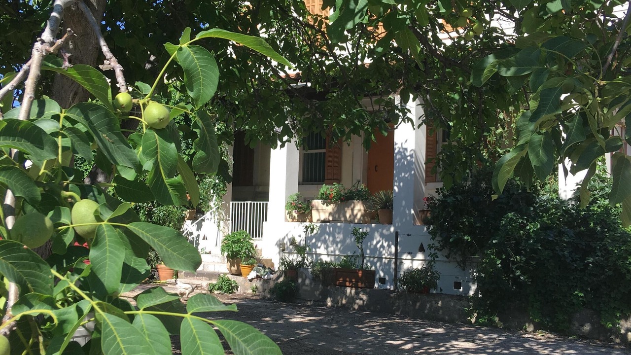 Photo of Outdoor in Ollioules