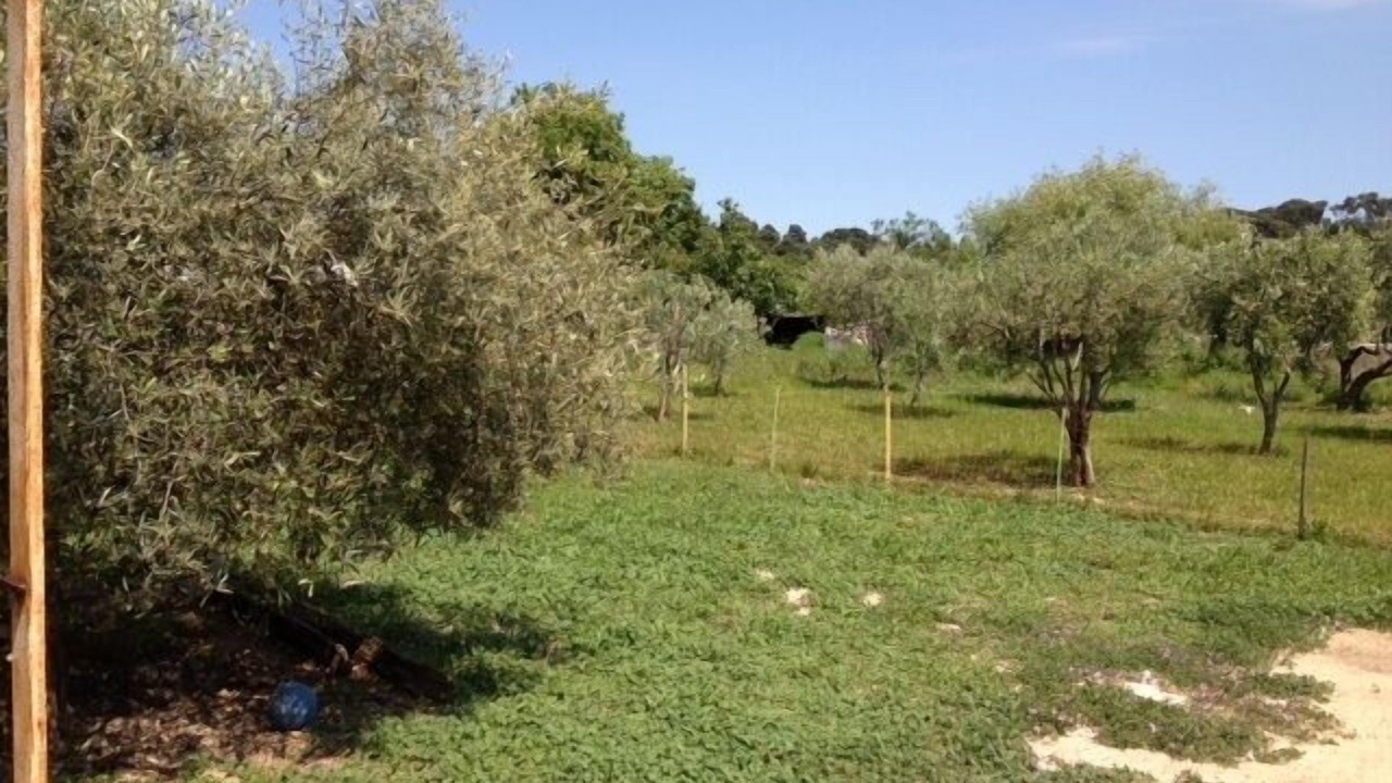 Photo of Outdoor in Ollioules