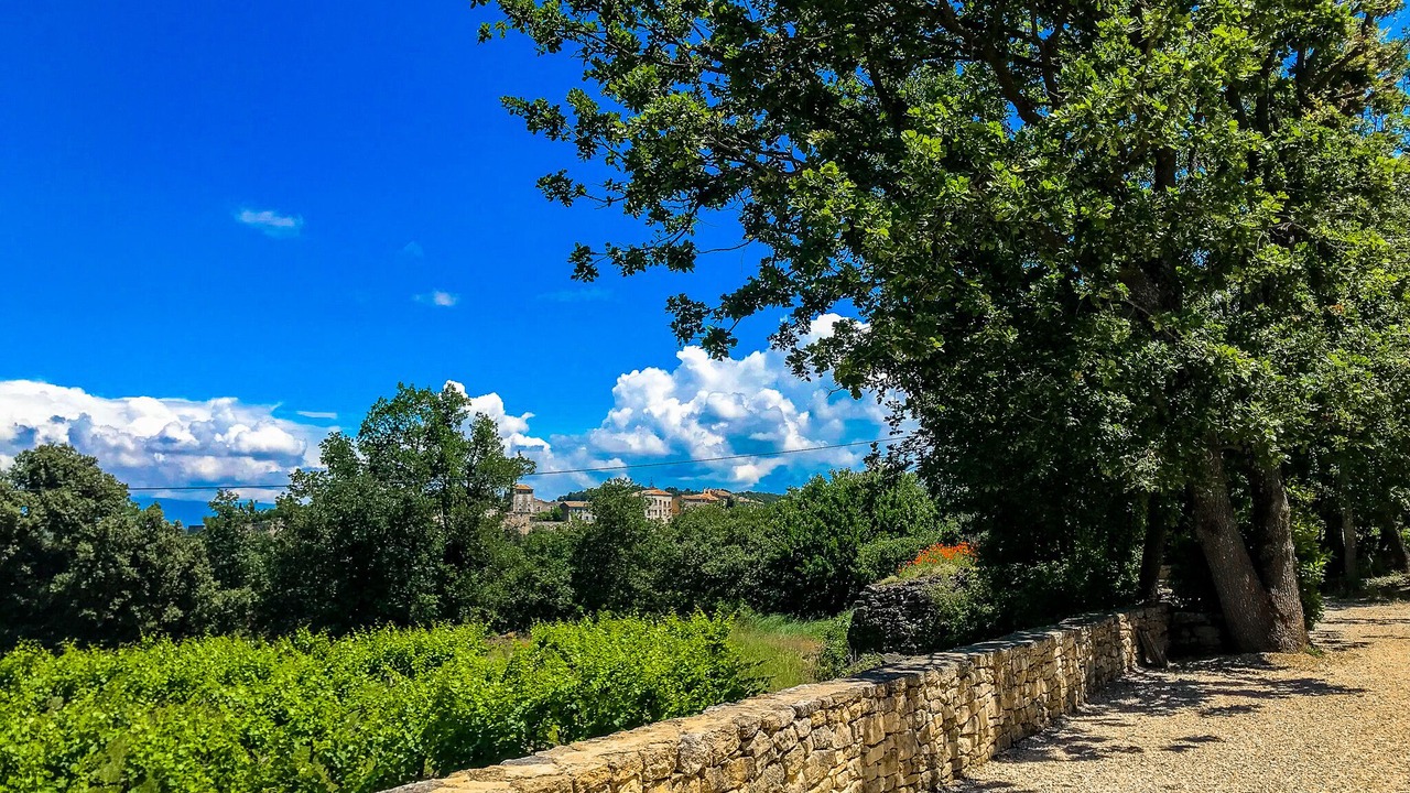 Photo of Outdoor in Menerbes