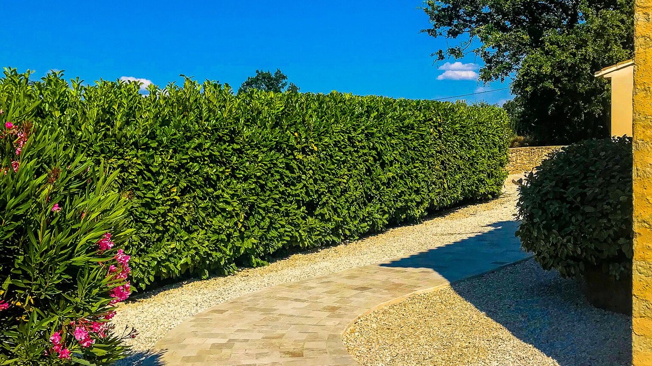 Photo of Outdoor in Menerbes
