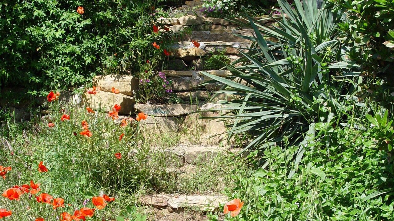 Photo of Outdoor in Bandol
