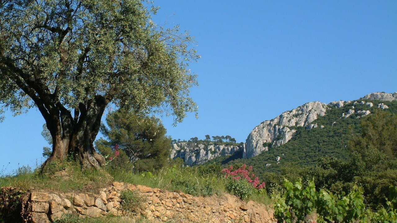 Photo of Outdoor in Bandol